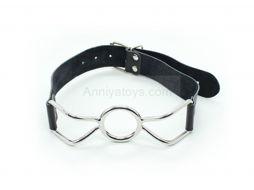 Stainless Steel Ball Gag Adult Sexy Toy Mouth ball